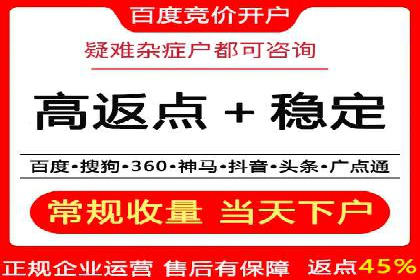 XX行业竞价广告的投放策略与效果分析